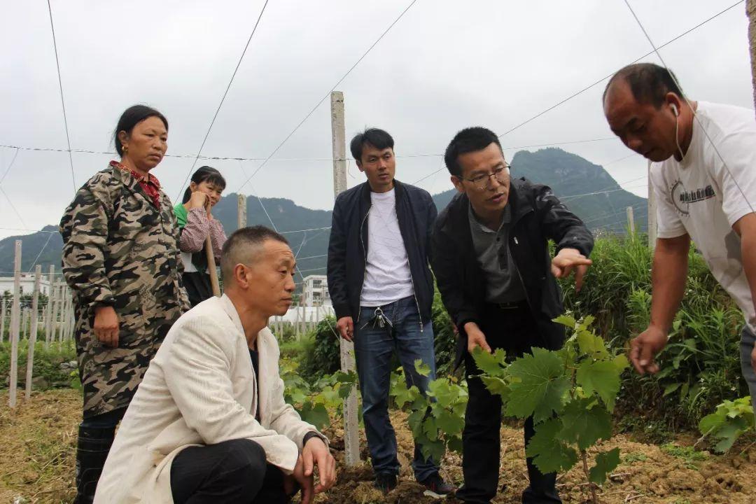 满园最新风采，时代变迁中的繁荣盛景